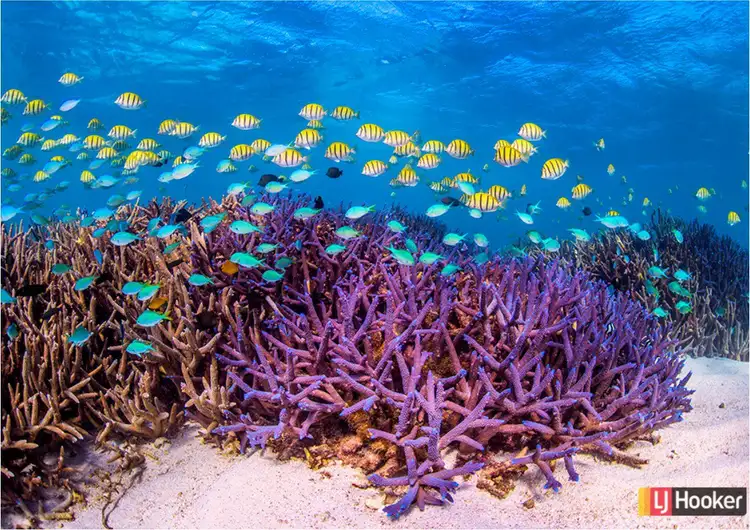 Third view of Homely land listing, 41 Tambor Drive, Exmouth WA 6707