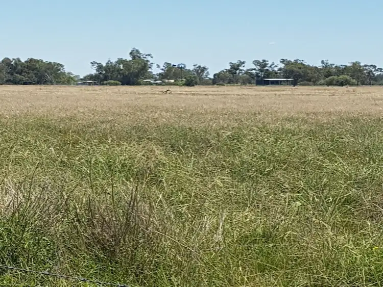Third view of Homely rural property listing, 27966 Cunningham Hwy, Goondiwindi QLD 4390