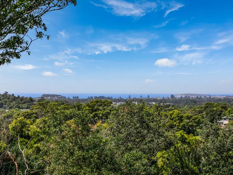 Third view of Homely house listing, 105 Cabbage Tree Road, Bayview NSW 2104