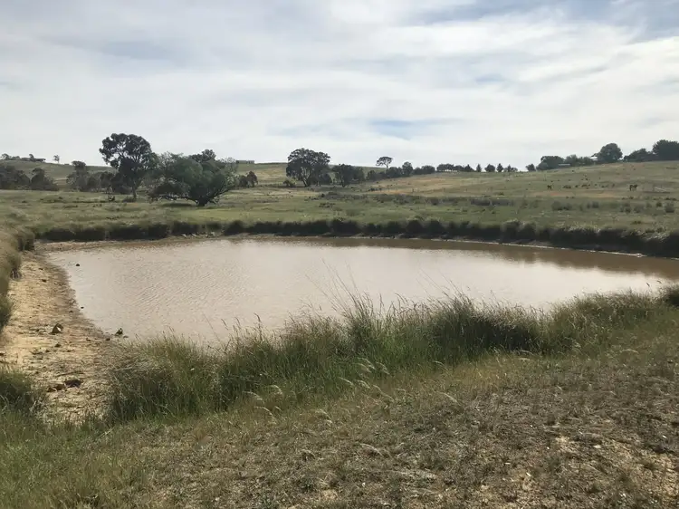 Main view of Homely land listing, 197 Cullerin Road, Breadalbane NSW 2581