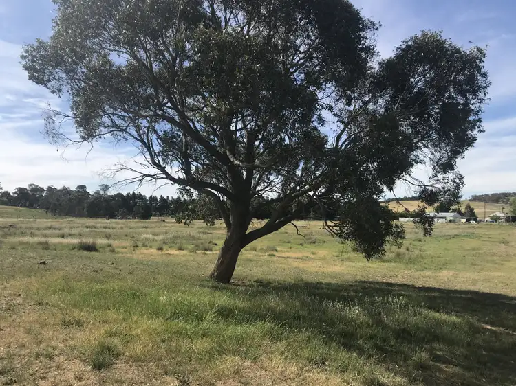 Sixth view of Homely land listing, 197 Cullerin Road, Breadalbane NSW 2581