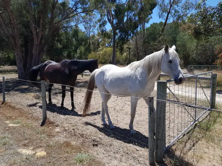 Second view of Homely land listing, Lot 641/301 Amarillo Drive, Karnup WA 6176