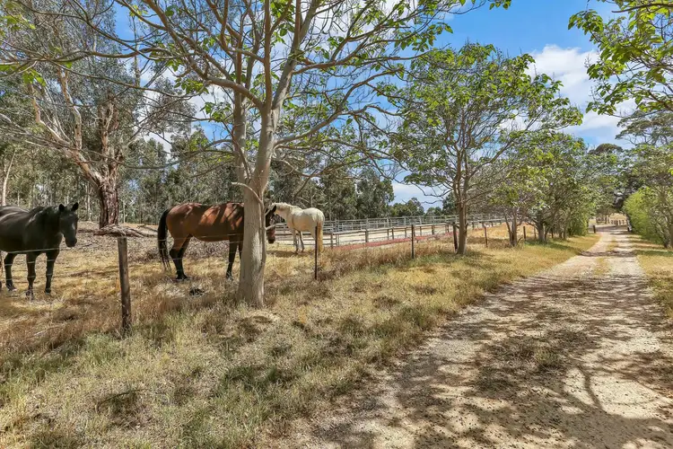 Third view of Homely rural property listing, 1009 Harrogate Road, Harrogate SA 5244