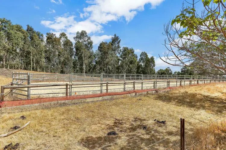 Fourth view of Homely rural property listing, 1009 Harrogate Road, Harrogate SA 5244