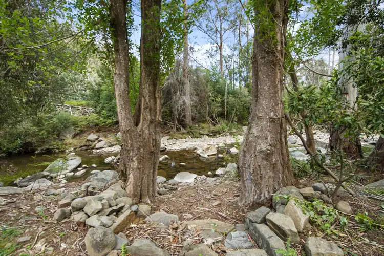 Seventh view of Homely land listing, 722 Molesworth Road, Molesworth TAS 7140