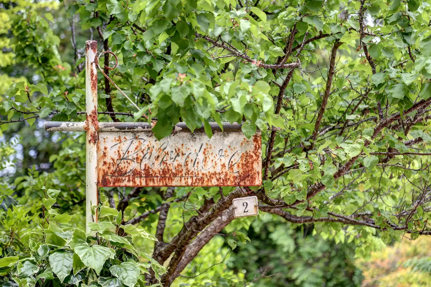 Main view of Homely house listing, 2 Sheoak Road, Crafers West SA 5152