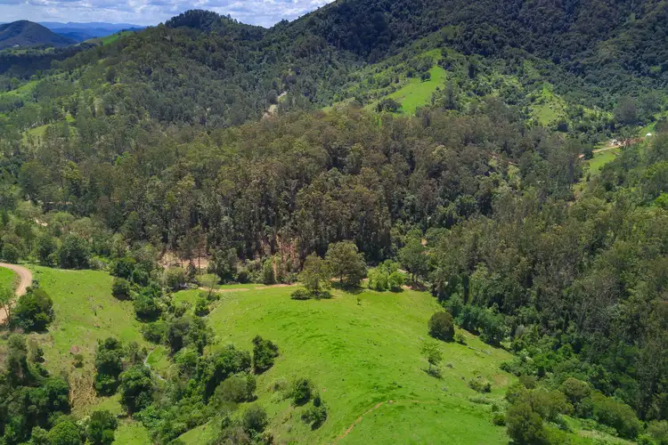 Main view of Homely rural property listing, 2001 Toms Creek Road, Ellenborough NSW 2446