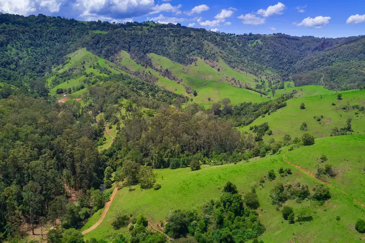 Fifth view of Homely rural property listing, 2001 Toms Creek Road, Ellenborough NSW 2446