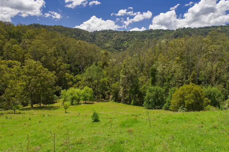 Sixth view of Homely rural property listing, 2001 Toms Creek Road, Ellenborough NSW 2446