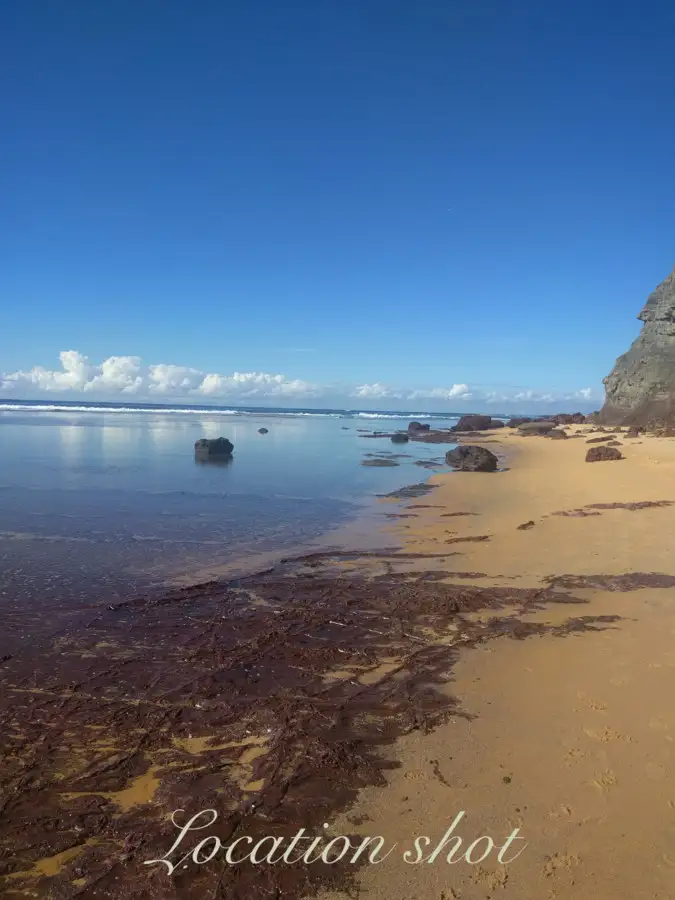 Sixth view of Homely unit listing, 11/19 Ramsay Street, Collaroy NSW 2097