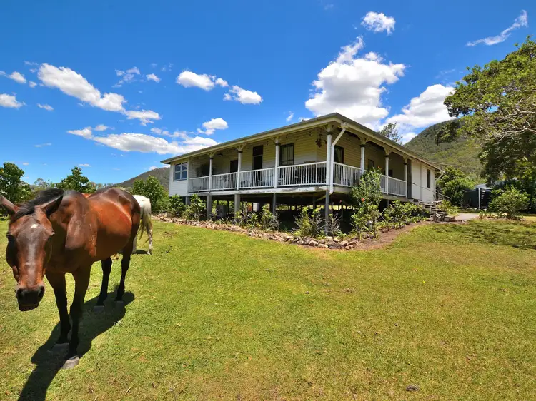 49 Myleema Road, Mount Archer QLD 4514