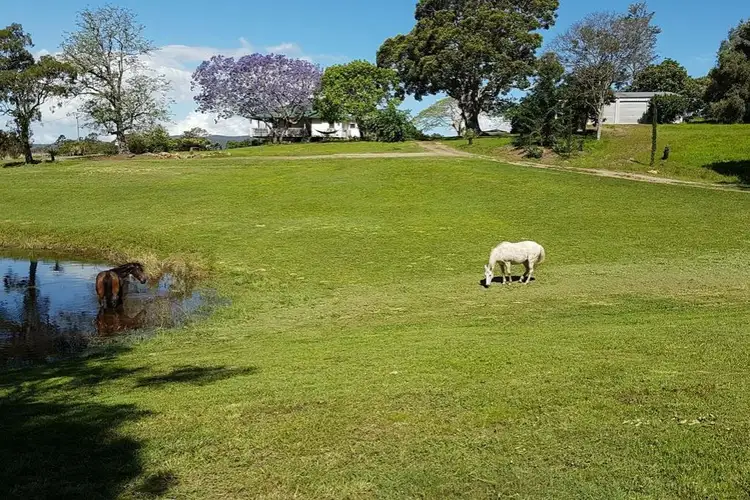 Third view of Homely house listing, 49 Myleema Road, Mount Archer QLD 4514