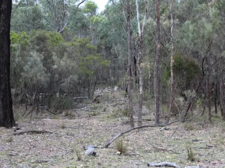 Fifth view of Homely rural property listing, 6/2285 Emmaville Road, Glen Innes NSW 2370