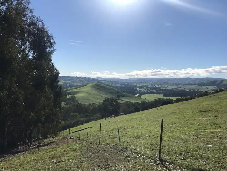 Fourth view of Homely rural property listing, 368 Acheron Road, Acheron VIC 3714