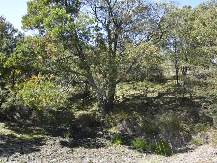 Sixth view of Homely land listing, Lot 21 Humphrey Road, Toongabbie VIC 3856