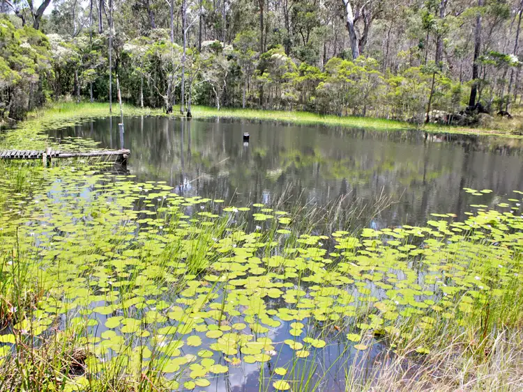 Fourth view of Homely house listing, 7000 Bruxner Highway, Drake NSW 2469