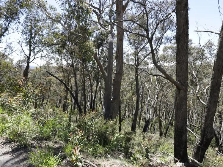 Sixth view of Homely land listing, 449 Great Western Highway, Blackheath NSW 2785