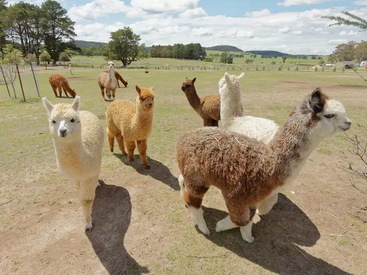 Fourth view of Homely land listing, 42 Merino Road, Marulan NSW 2579