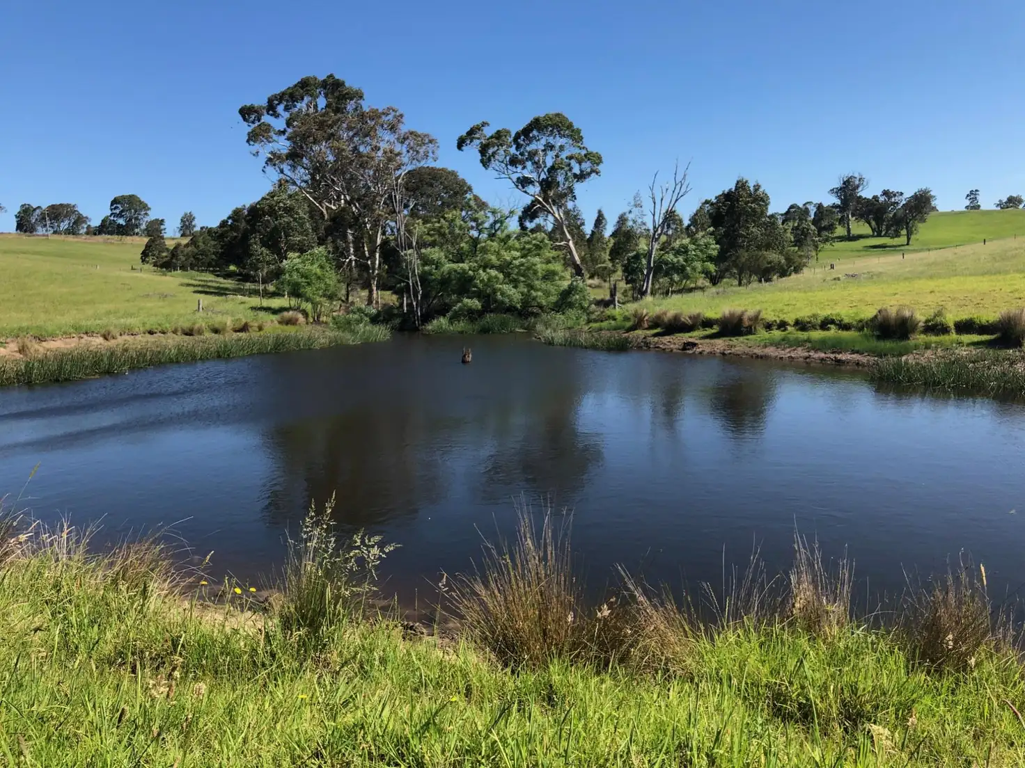 Main view of Homely land listing, 10972 Princes Hwy, Cobargo NSW 2550