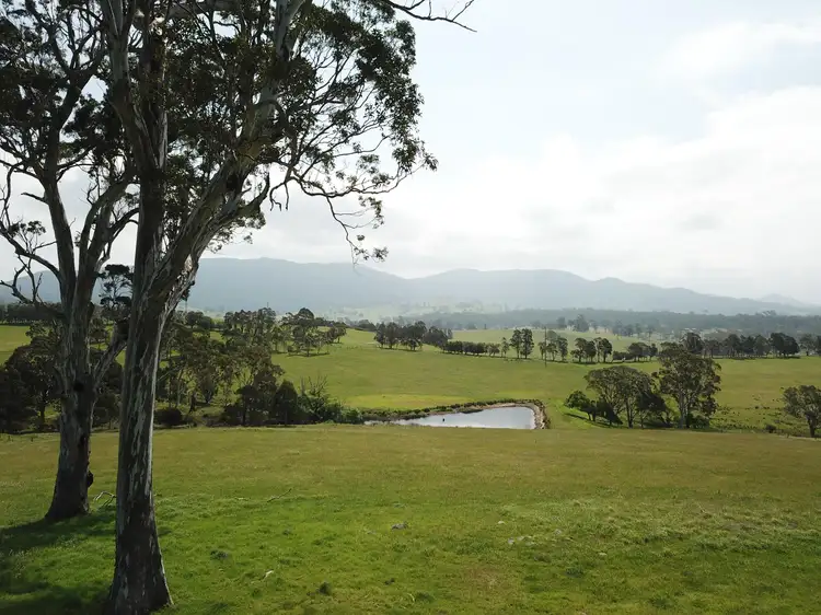 Second view of Homely land listing, 10972 Princes Hwy, Cobargo NSW 2550