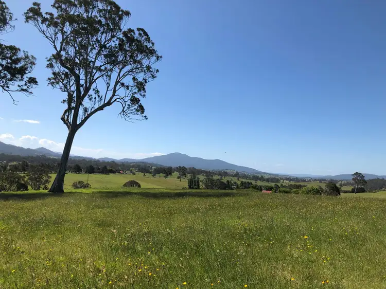 Fifth view of Homely land listing, 10972 Princes Hwy, Cobargo NSW 2550