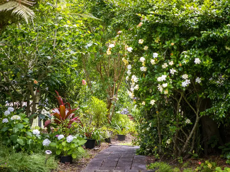 Third view of Homely house listing, 281 Warri Street, Pindimar NSW 2324