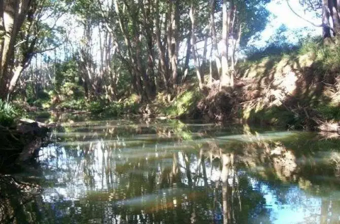 Main view of Homely rural property listing, 29 Tallawudjah Creek Road, Glenreagh NSW 2450