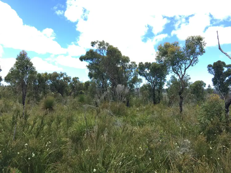 Fourth view of Homely land listing, Lot 2 Double Bridges Road (Meerup), Northcliffe WA 6262