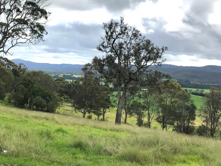 Second view of Homely land listing, Lot 195 "Spanish Oaks" Kerrisons Lane, Bega NSW 2550