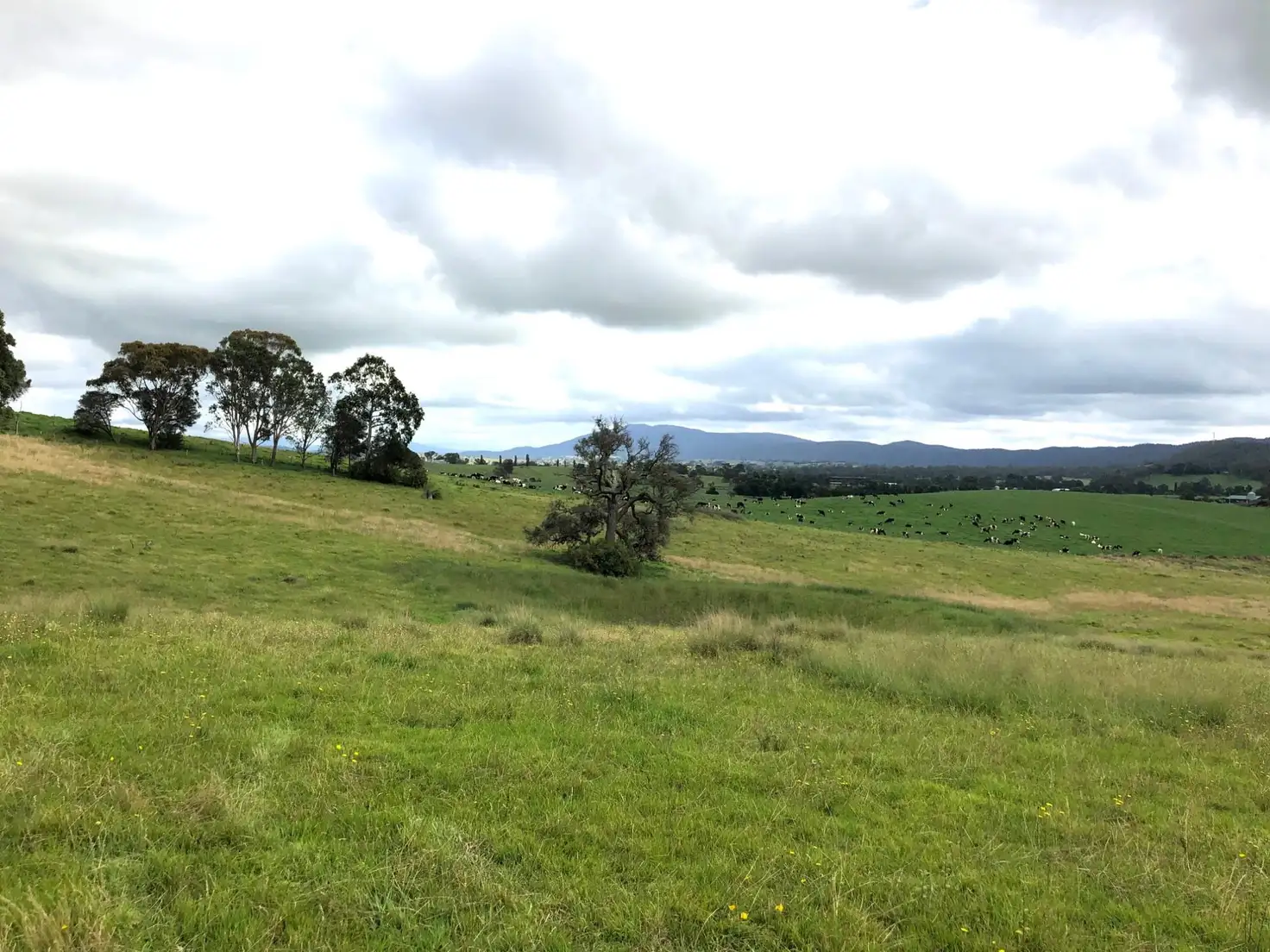 Main view of Homely land listing, Lot 201 Barrumbarra Place, Bega NSW 2550