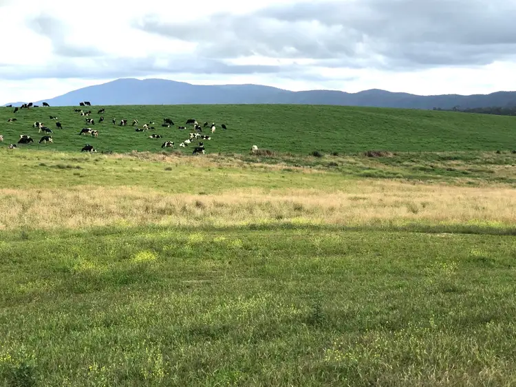 Lot 202 Barrumbarra Place, Bega NSW 2550