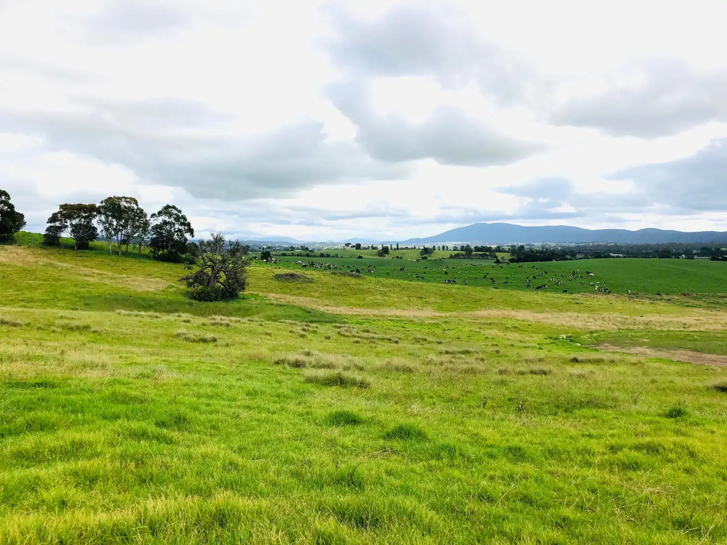 Main view of Homely land listing, Lot 205 Barrumbarra Place, Bega NSW 2550