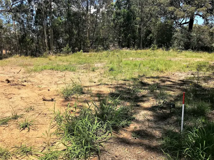 10 Lowther Street, Russell Island QLD 4184
