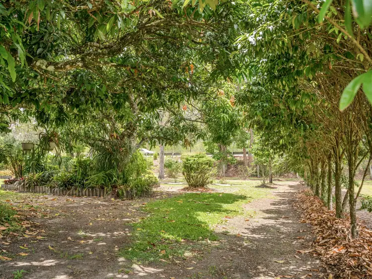 Third view of Homely rural property listing, 8120 Pacific Highway, New Italy NSW 2472