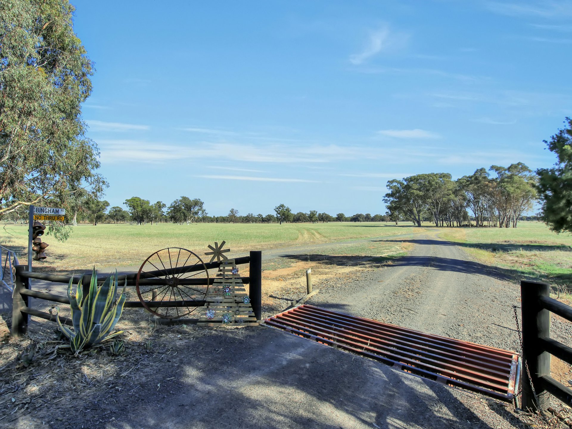 Main view of Homely rural property listing, 87 Cook Road, Baddaginnie VIC 3670