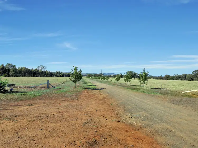 Second view of Homely rural property listing, 87 Cook Road, Baddaginnie VIC 3670