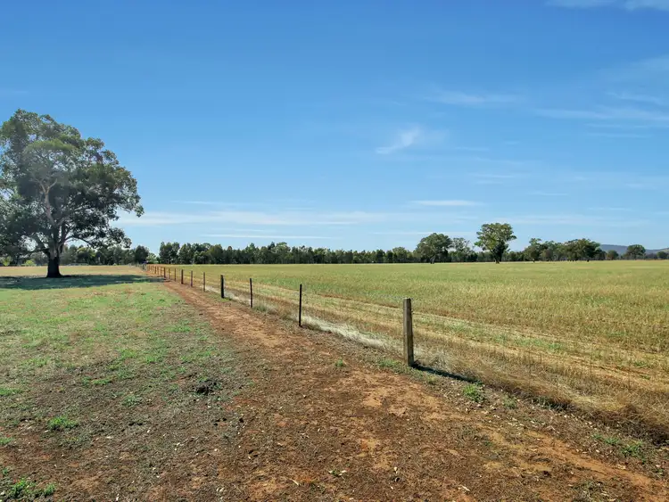 Third view of Homely rural property listing, 87 Cook Road, Baddaginnie VIC 3670