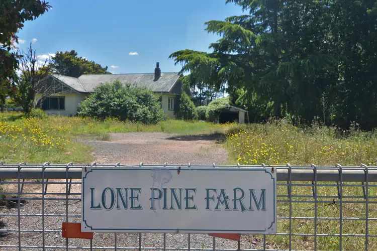 Main view of Homely rural property listing, 930 Jenolan Caves Road, Hampton NSW 2790