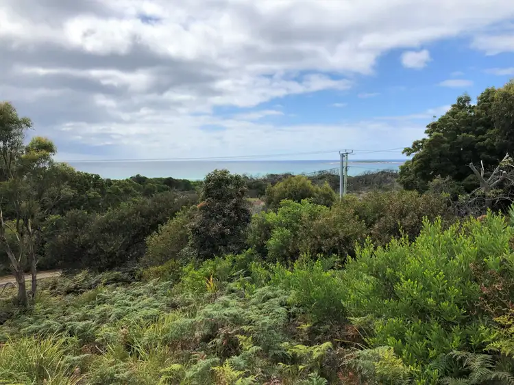 Third view of Homely land listing, 24307 B Tasman Highway, St Helens TAS 7216