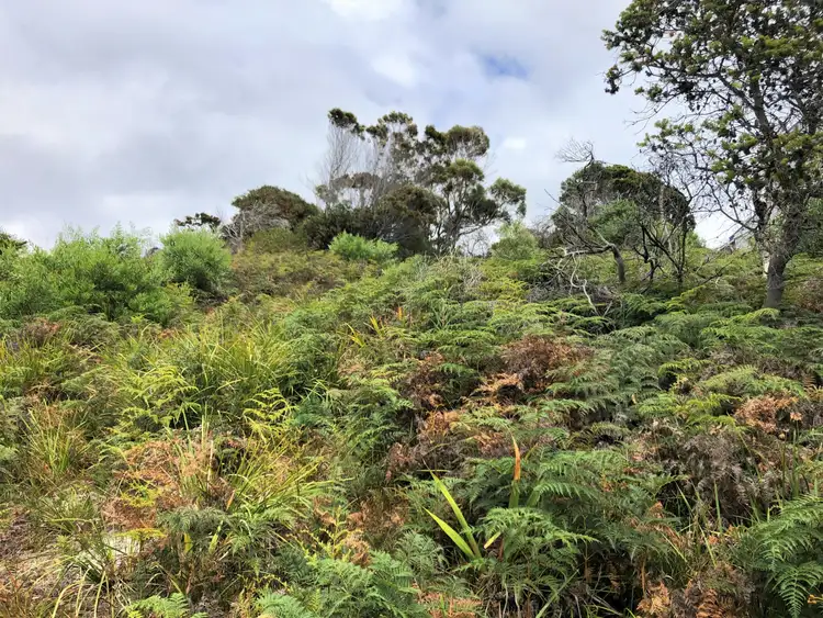 Fifth view of Homely land listing, 24307 B Tasman Highway, St Helens TAS 7216