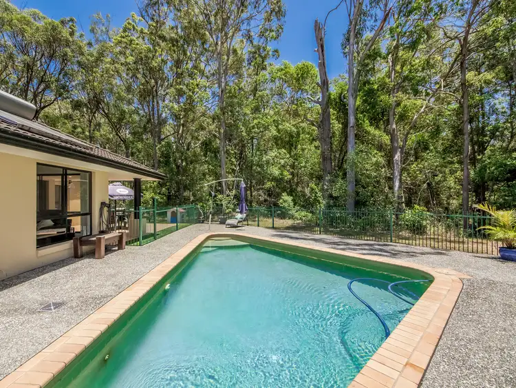 19 Tuckeroo Place, Reedy Creek QLD 4227