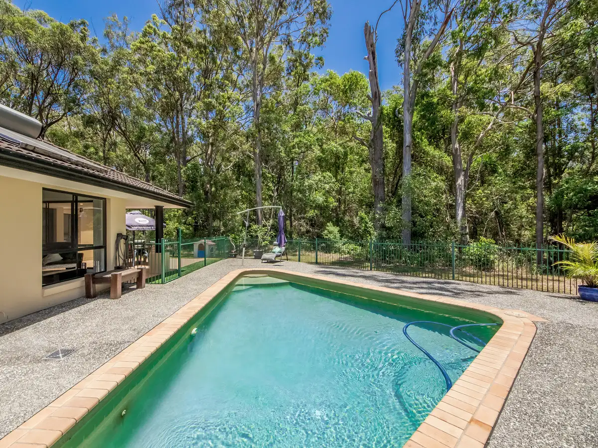 Main view of Homely house listing, 19 Tuckeroo Place, Reedy Creek QLD 4227