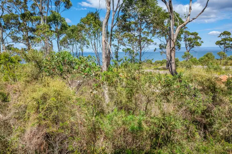 Sixth view of Homely land listing, 5152 Channel Highway, Gordon TAS 7150