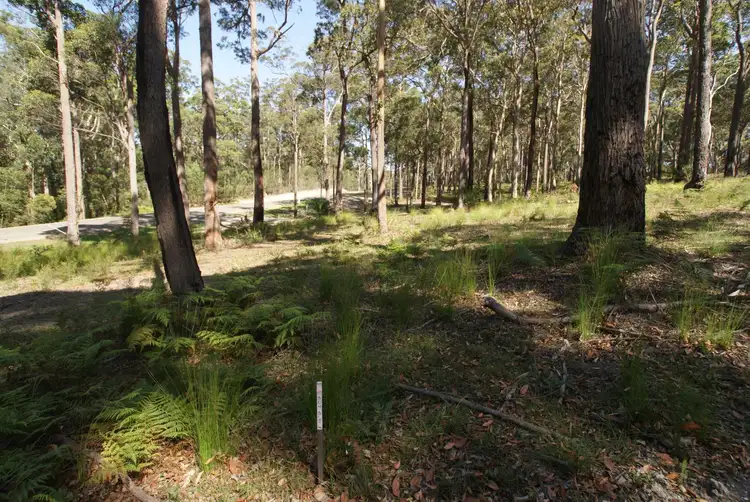 Fifth view of Homely land listing, Lot 11/232 Warrabugan Place, Long Beach NSW 2536