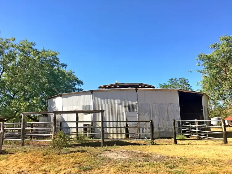 Sixth view of Homely rural property listing, 705 Ropeley Rockside Road, Ropeley QLD 4343
