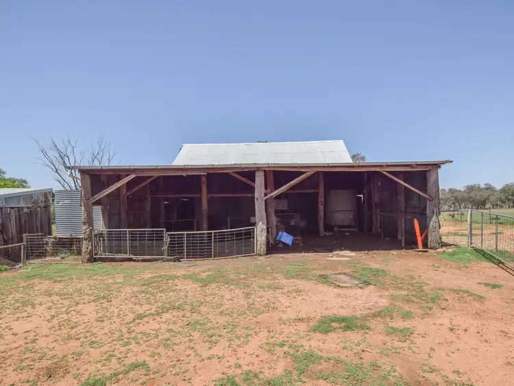 Seventh view of Homely rural property listing, 20 Mahers Lane, Young NSW 2594