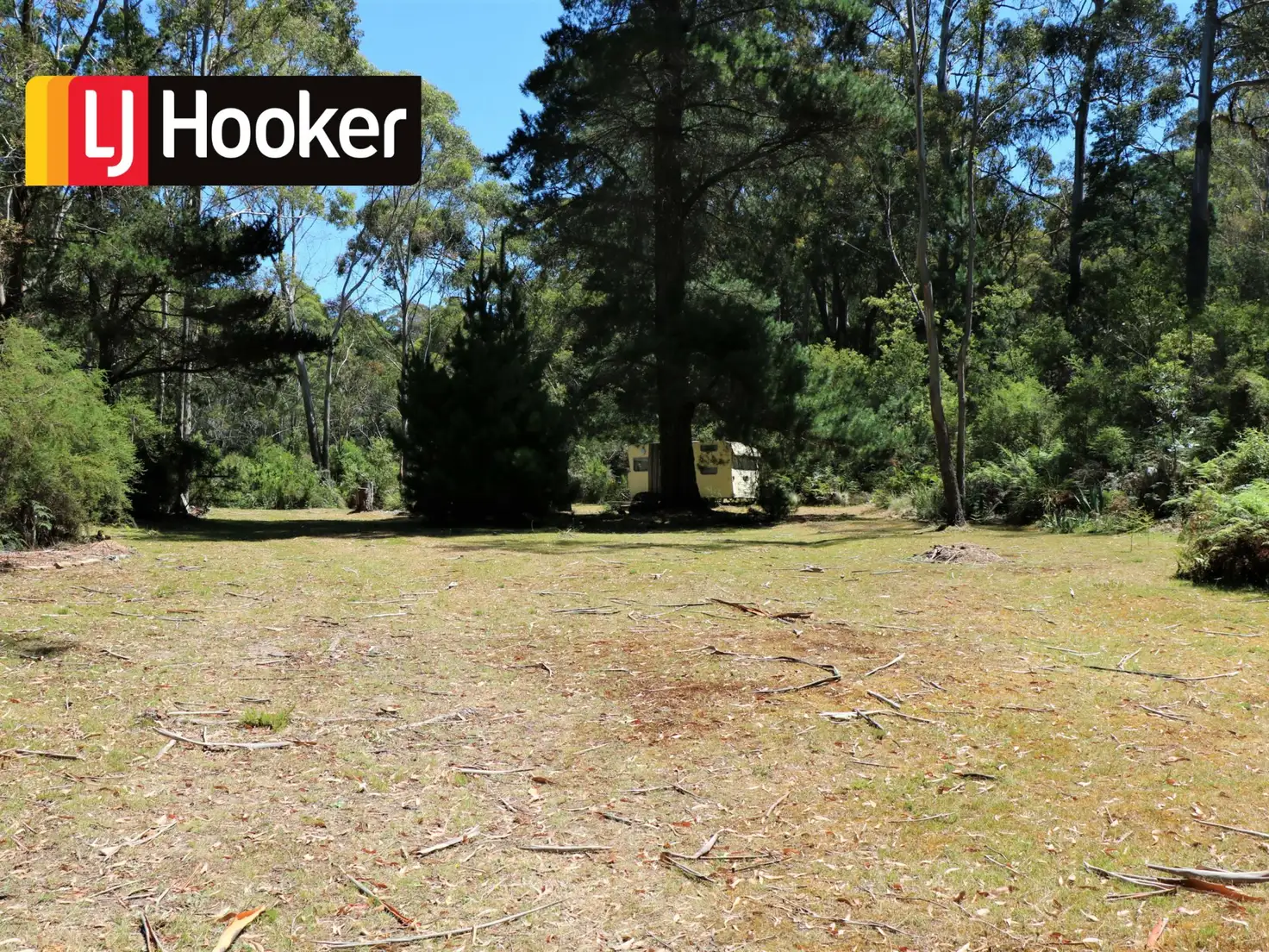 Main view of Homely land listing, 24665 Tasman Highway, St Helens TAS 7216