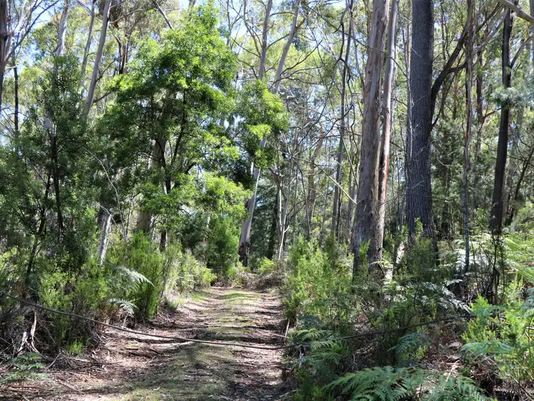 Fifth view of Homely land listing, 24665 Tasman Highway, St Helens TAS 7216