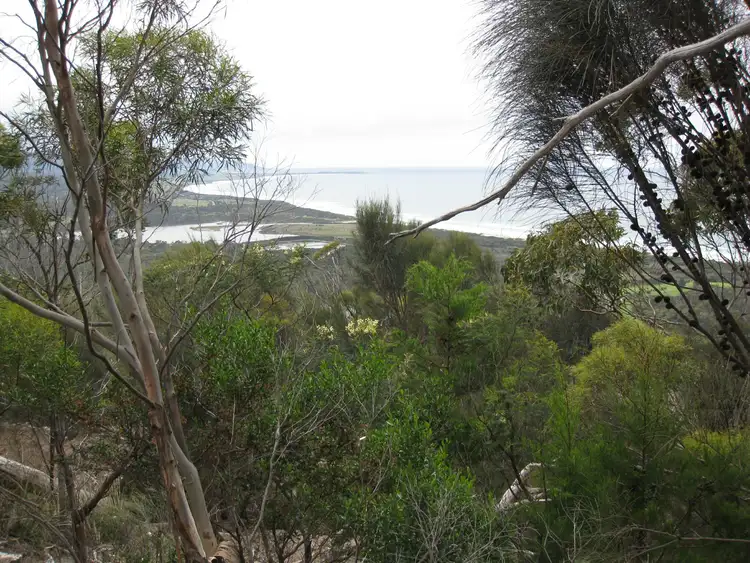 Sixth view of Homely land listing, 85 Rosedale Road, Bicheno TAS 7215