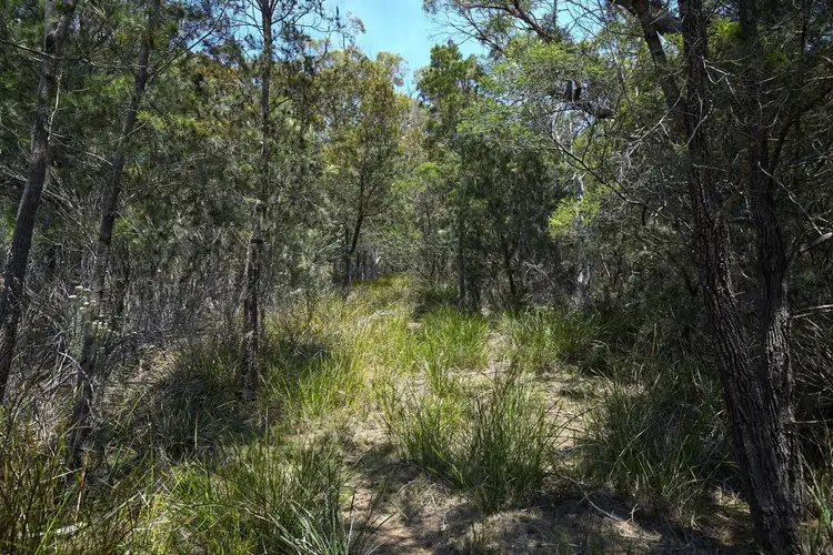 Seventh view of Homely land listing, 85 Rosedale Road, Bicheno TAS 7215